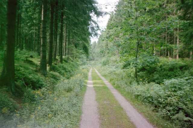 Alte Bahntrasse entlang