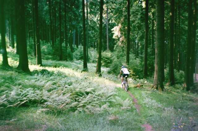 Trail nach Bad Grund