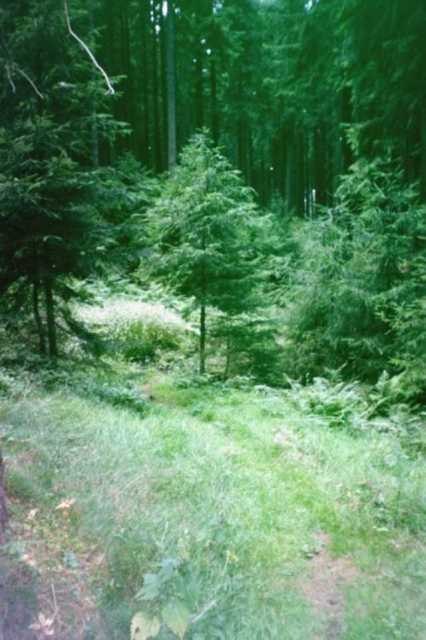 Trail nach Bad Grund