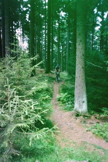 Trail nach Bad Grund