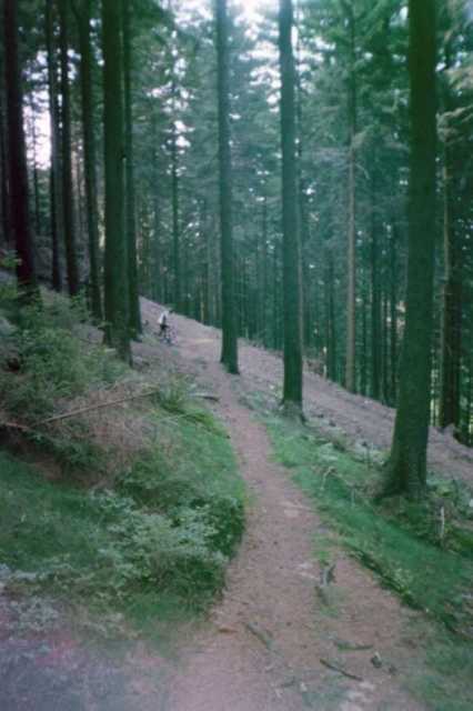 Trail nach Bad Grund