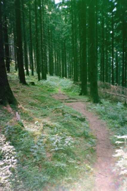 Trail nach Bad Grund