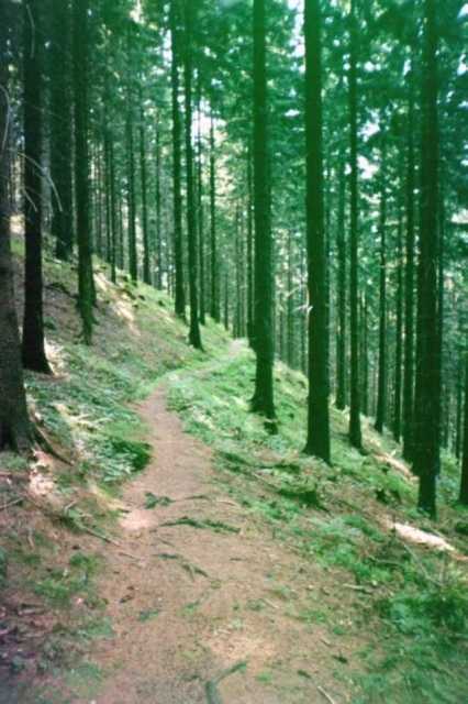 Trail nach Bad Grund