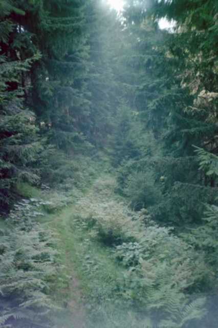 Trail nach Bad Grund