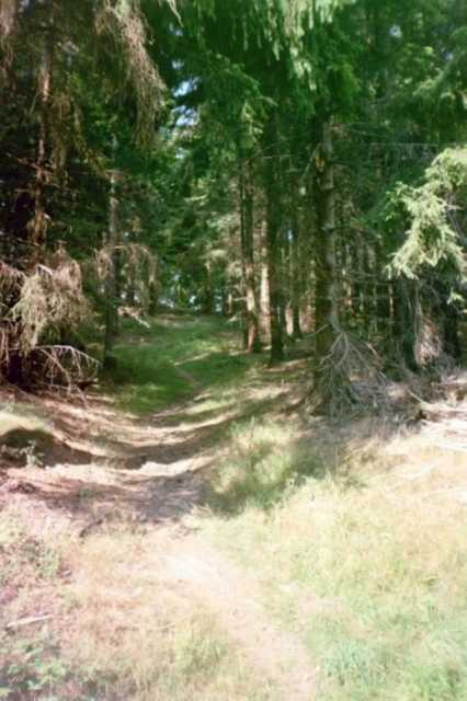 Trail nach Bad Grund