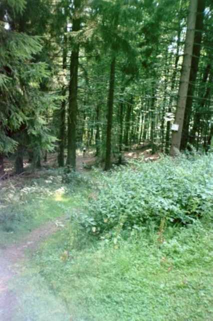 Trail nach Bad Grund