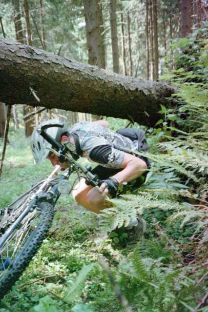 Ins Naturschutzgebiet 1. Trail