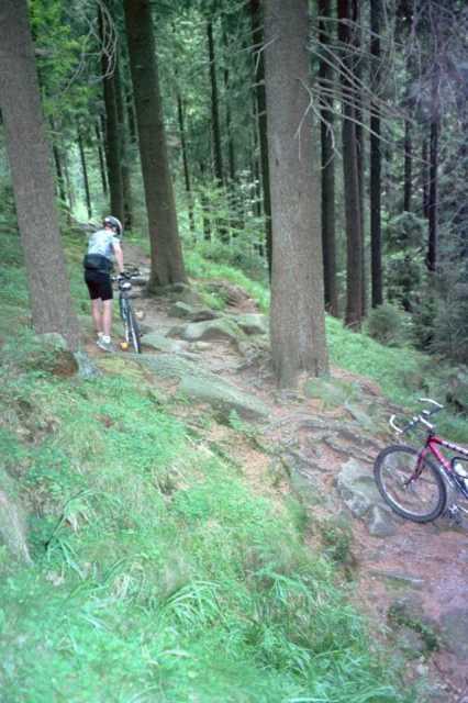 Der Magdeburger Weg im Naturschutzgebiet