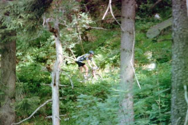 Der Magdeburger Weg im Naturschutzgebiet