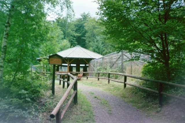 Auerhahngehege bei Lonau