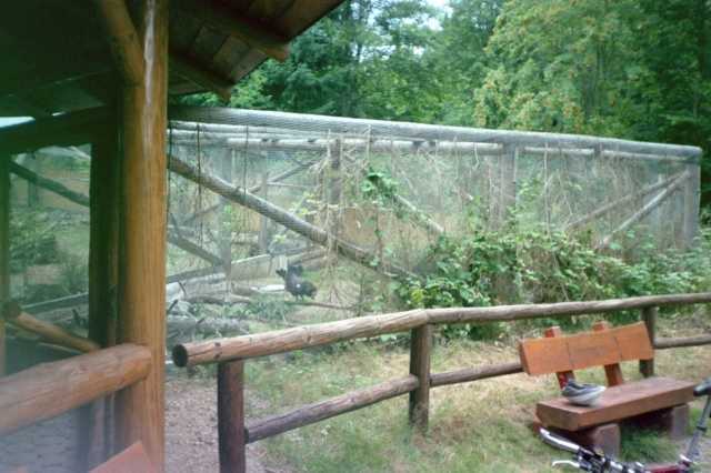 Auerhahngehege bei Lonau